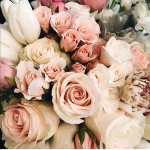 Meet your Posher, Shona